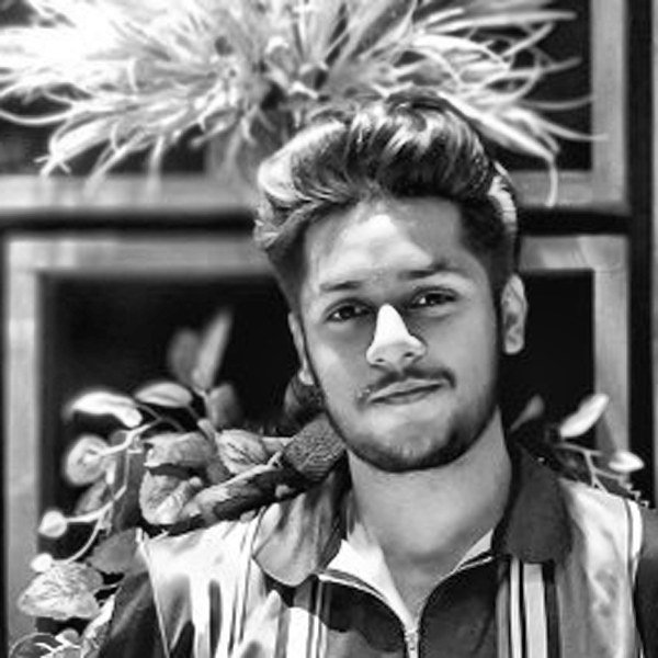 Syed Hassan Abbas, Junior Accountant